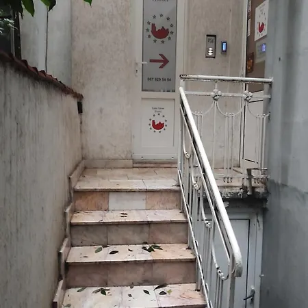 лидер хаус Várna